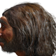 Reconstructed side view of Dragon Man.